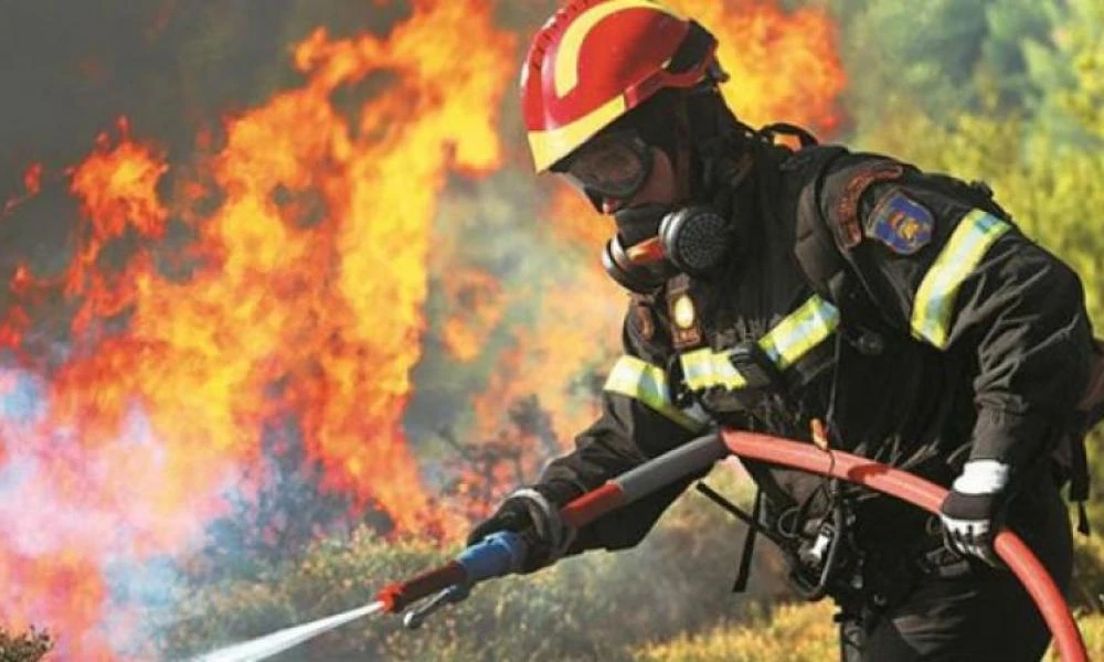 Φωτιά σε δασική έκταση στο Δήμο Σουλίου - Ισχυροί άνεμοι δυσχεραίνουν το έργο της Πυροσβεστικής